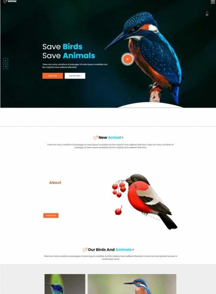 拯救鸟类拯救动物HTML5网站模板-D站-dildil共享平台