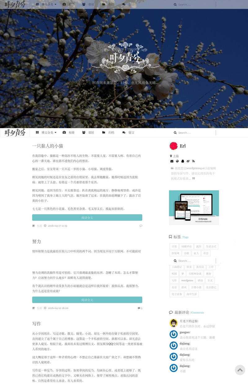 wordpress极简优秀的博客主题–ErlSimpleV1.5主题-D站-dildil共享平台