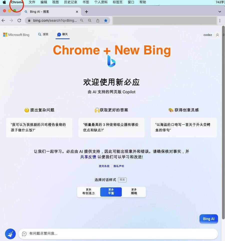 微软New Bing完美聊天机器人源码，支持ChatGPT提示词 国内可用，基本兼容微软 Bing AI 所有功能-D站-dildil共享平台