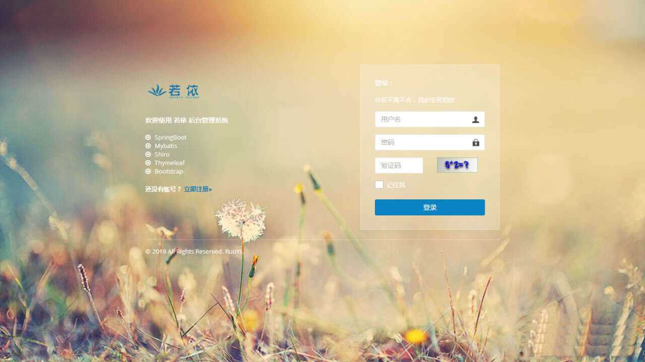 图片[4]-RuoYi若依管理系统最新版 基于SpringBoot的权限管理系统-D站-dildil共享平台